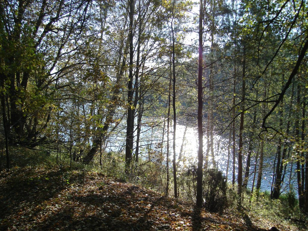 brda