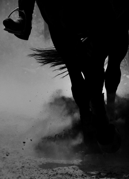 Equestrian.