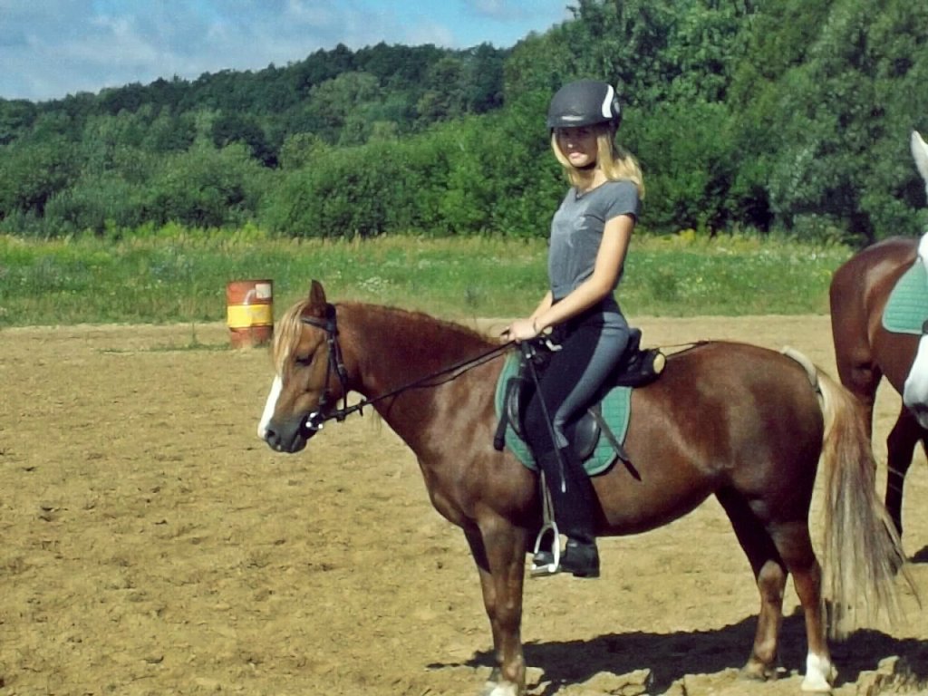 ryj jak cebula