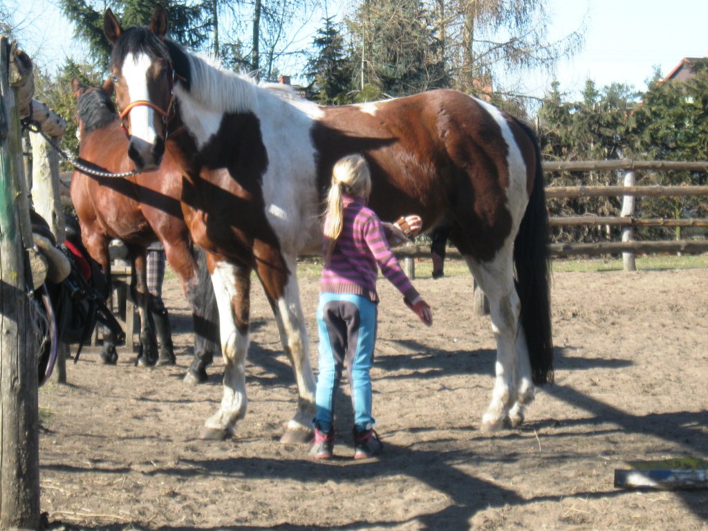 ANIELKA I MOCART