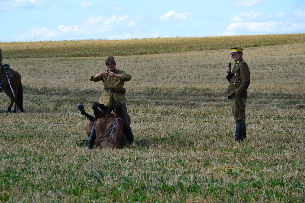 Komarw