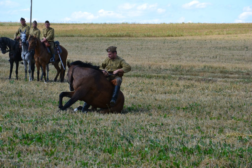 Komarw