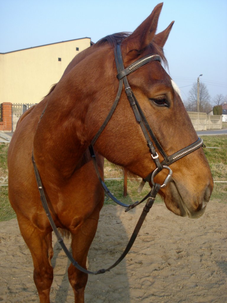 Ramol