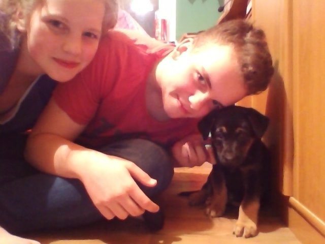 piese