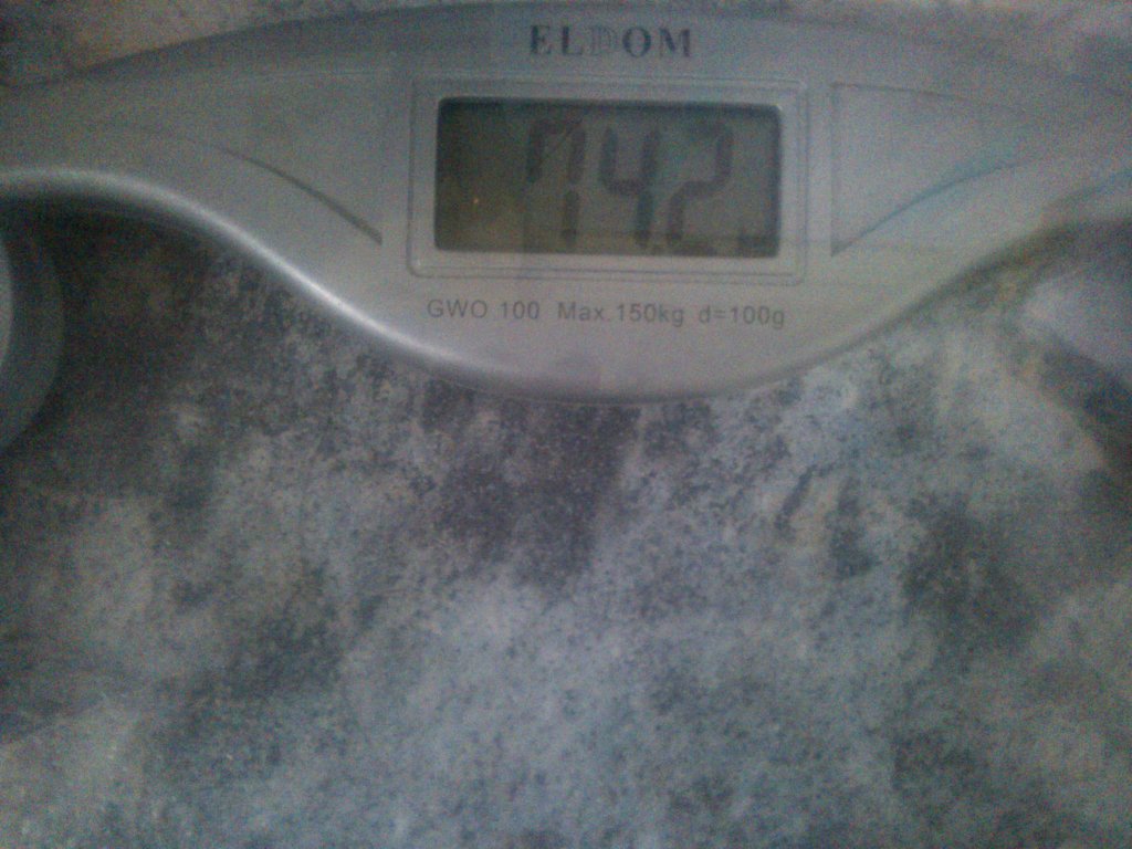 Day 6