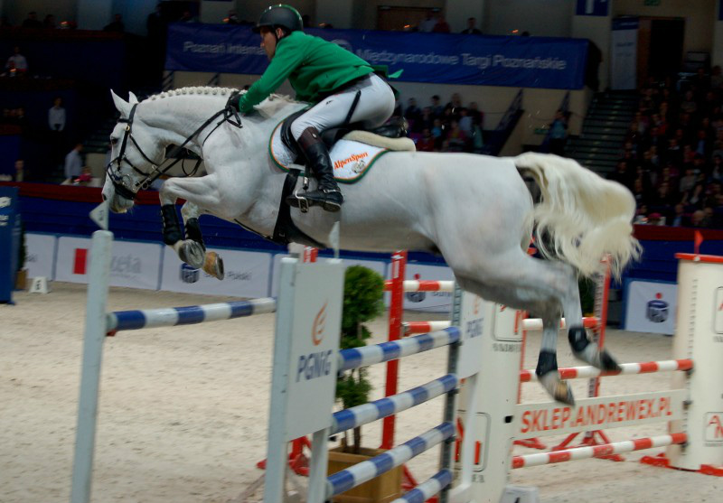 cavaliada 2014