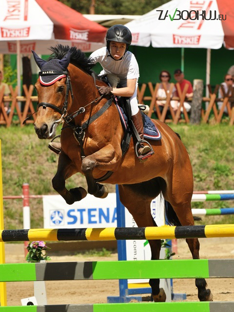 Marea, for sale ;c