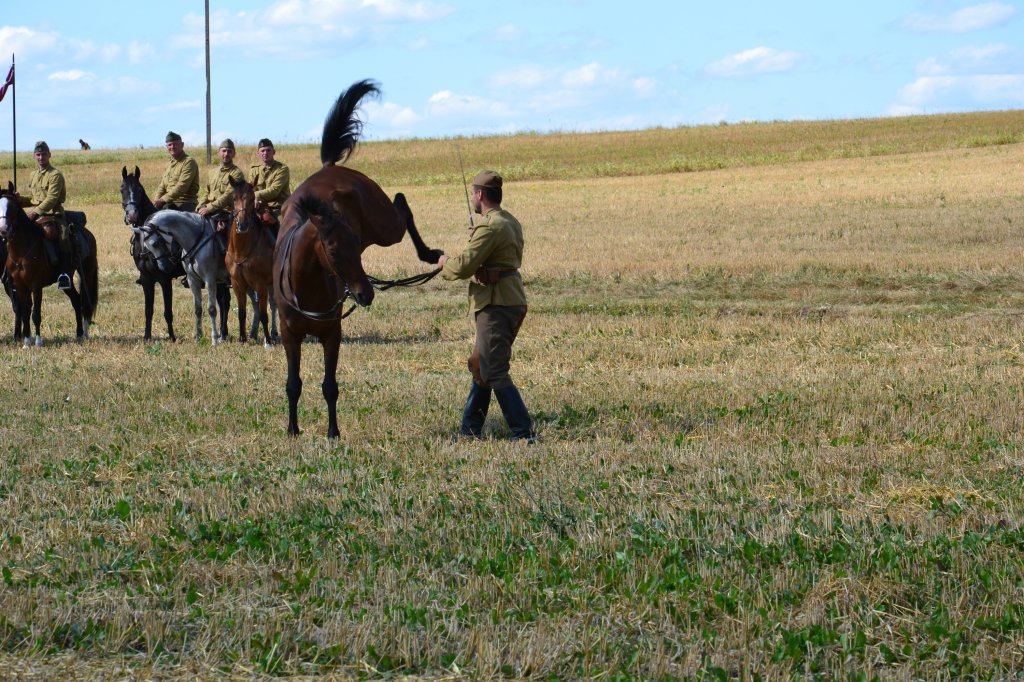 Komarw