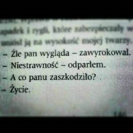 Cytaty.