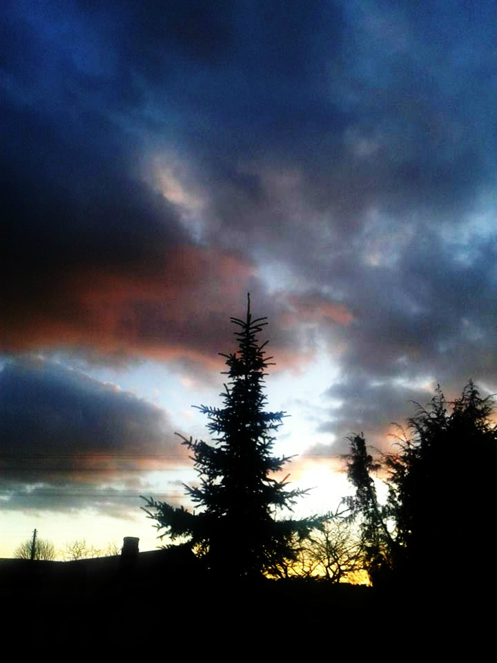 Sky