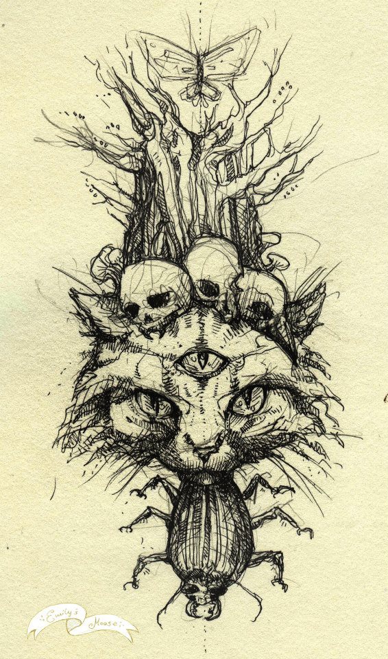 kitty