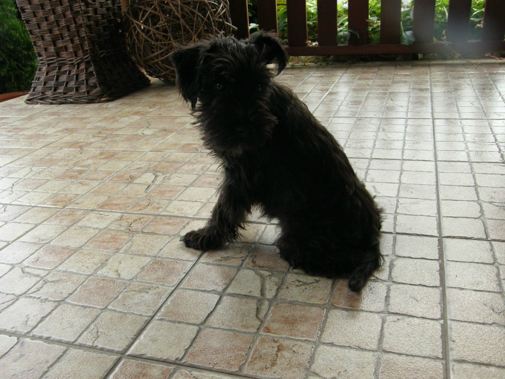 Taki may :)