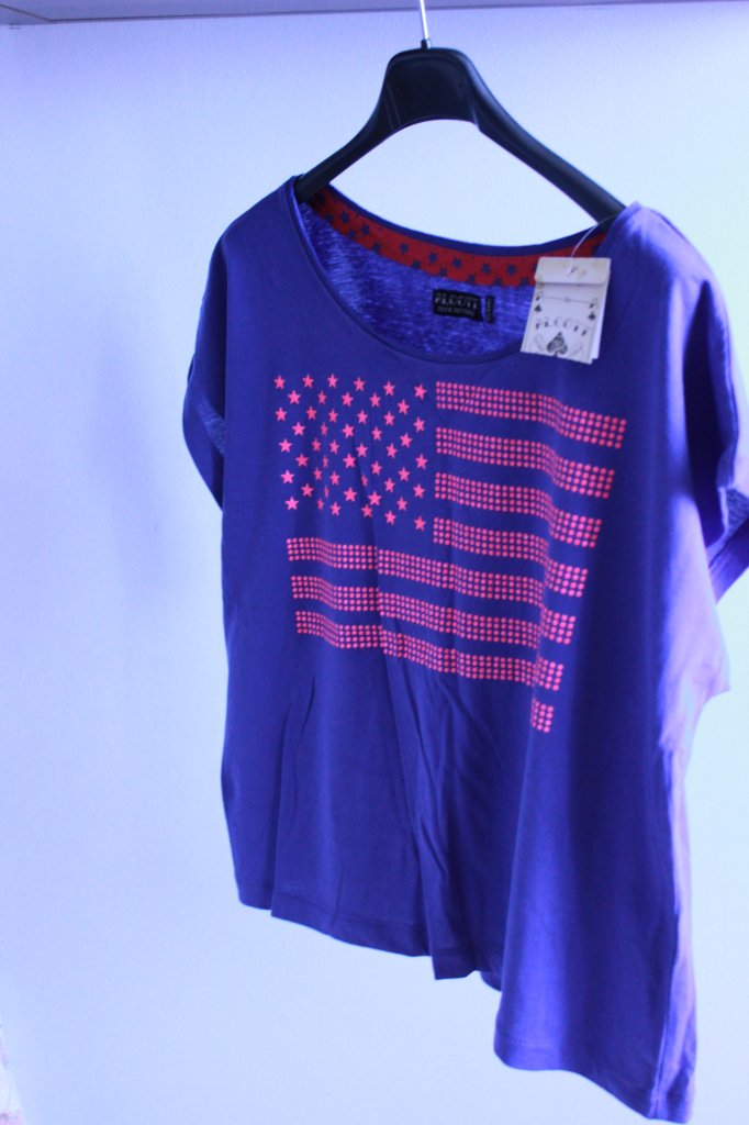 american flag