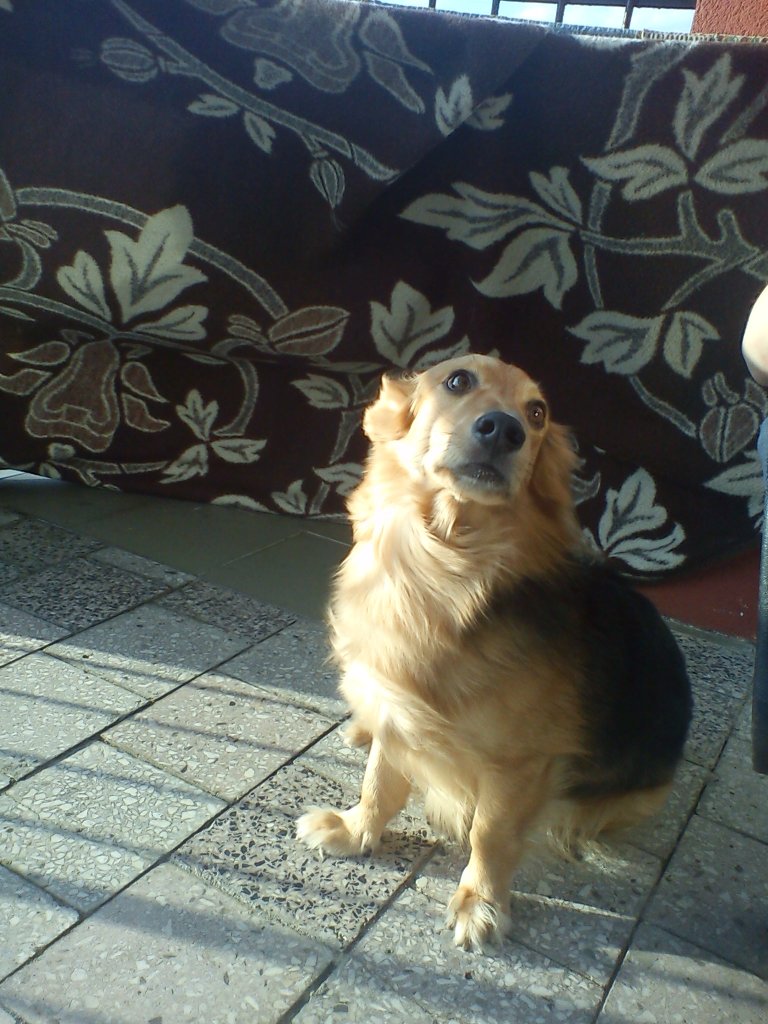 wiosna :D