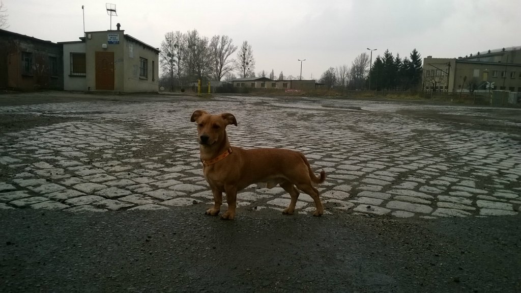 Jack