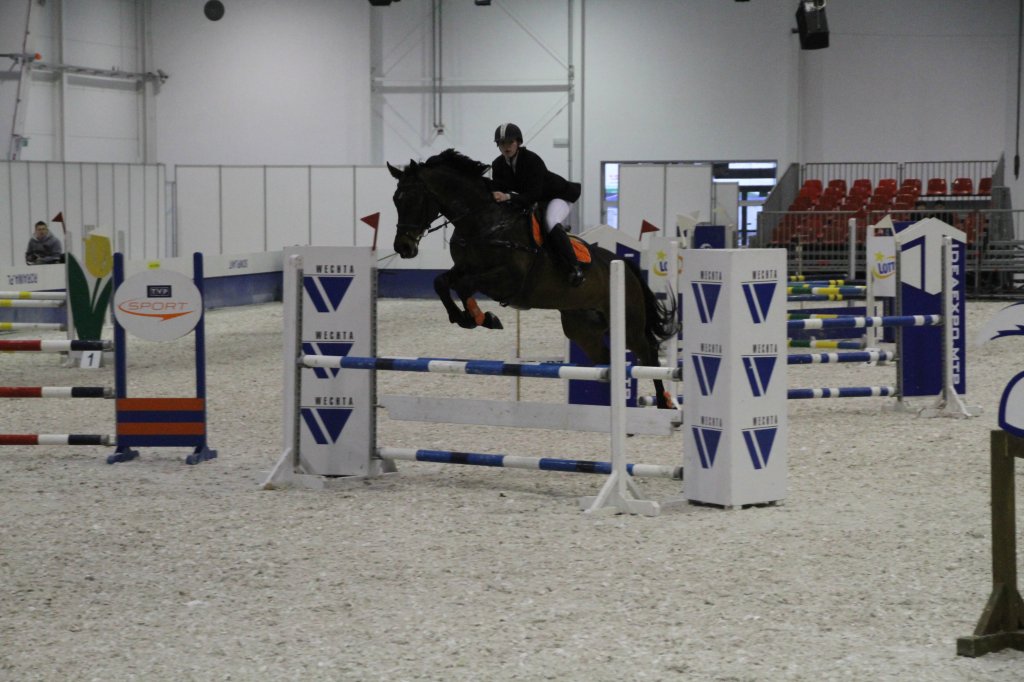 2.03.2014- zawody PreCavaliada 