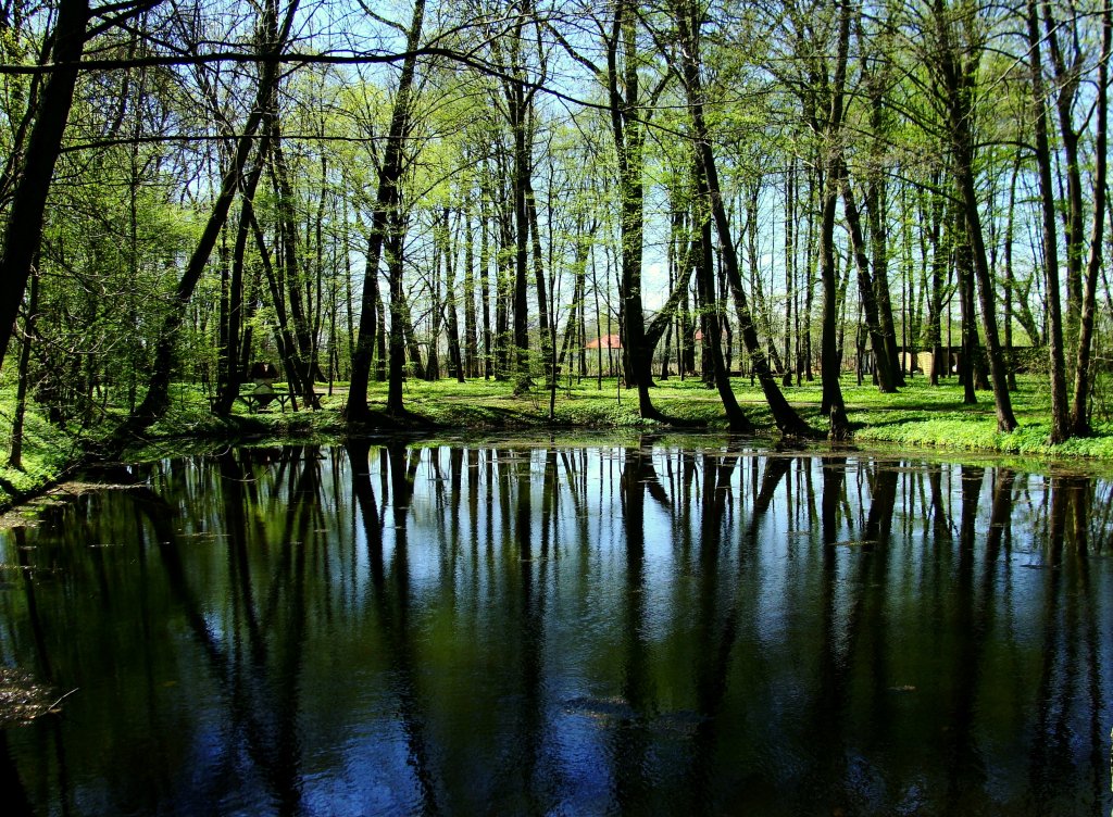 Wiea Radoci, Wiea Samotnoci