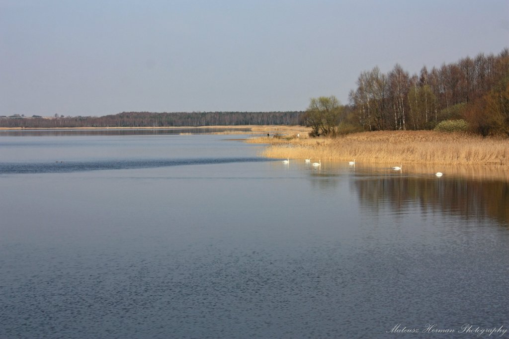 jeziorko