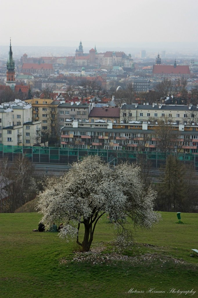 wiosna