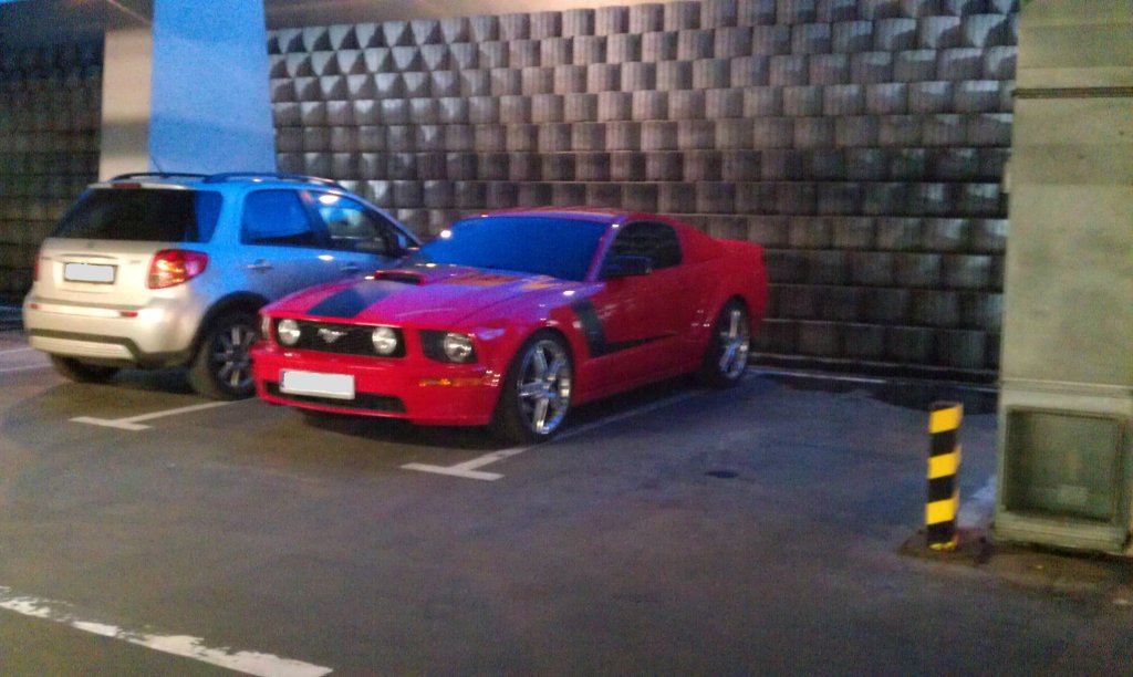 Taki mustang, O!