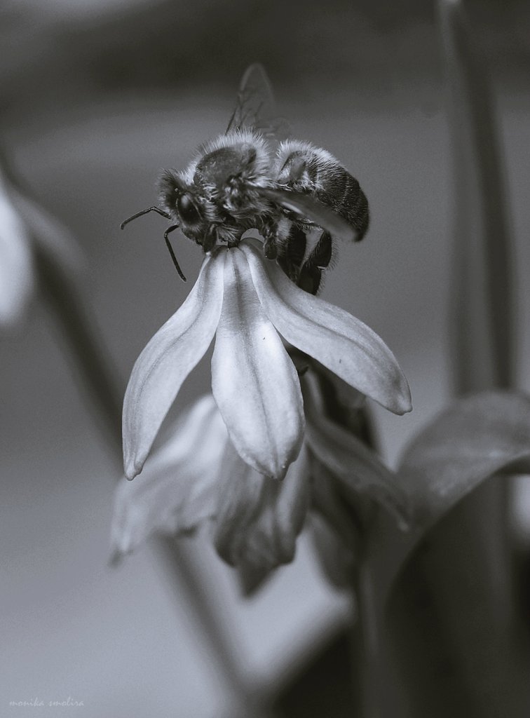 b&w