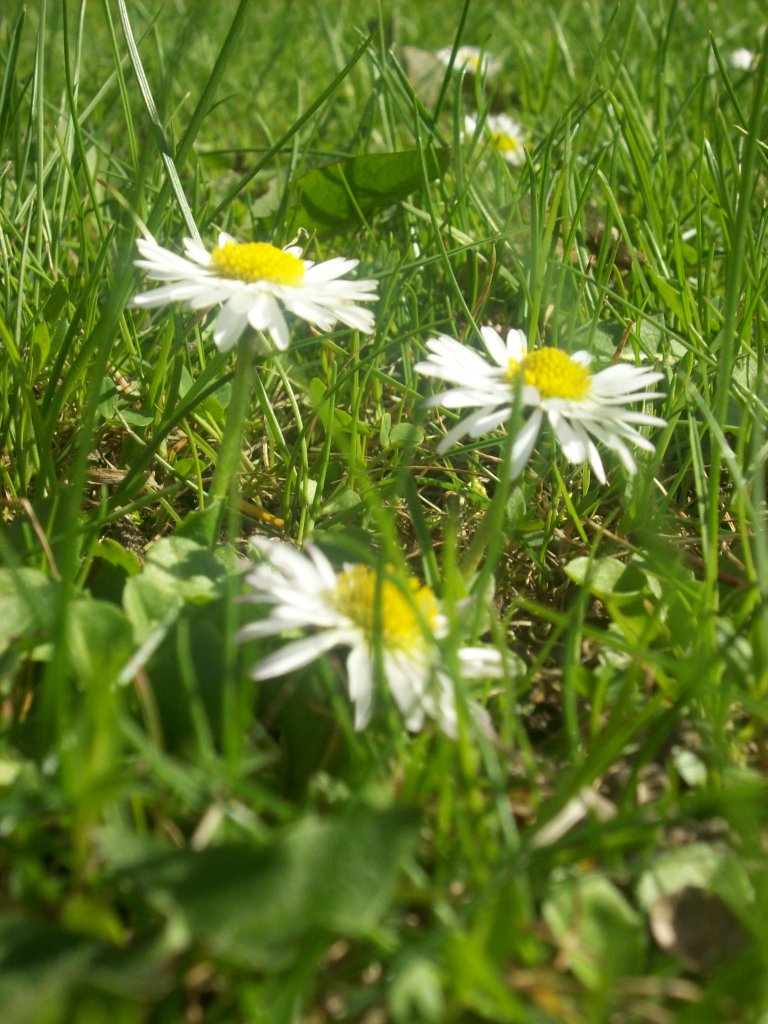 Wiossenie :)