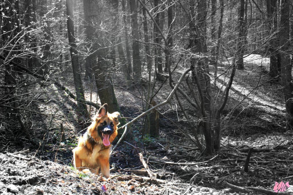 BEAST! :)