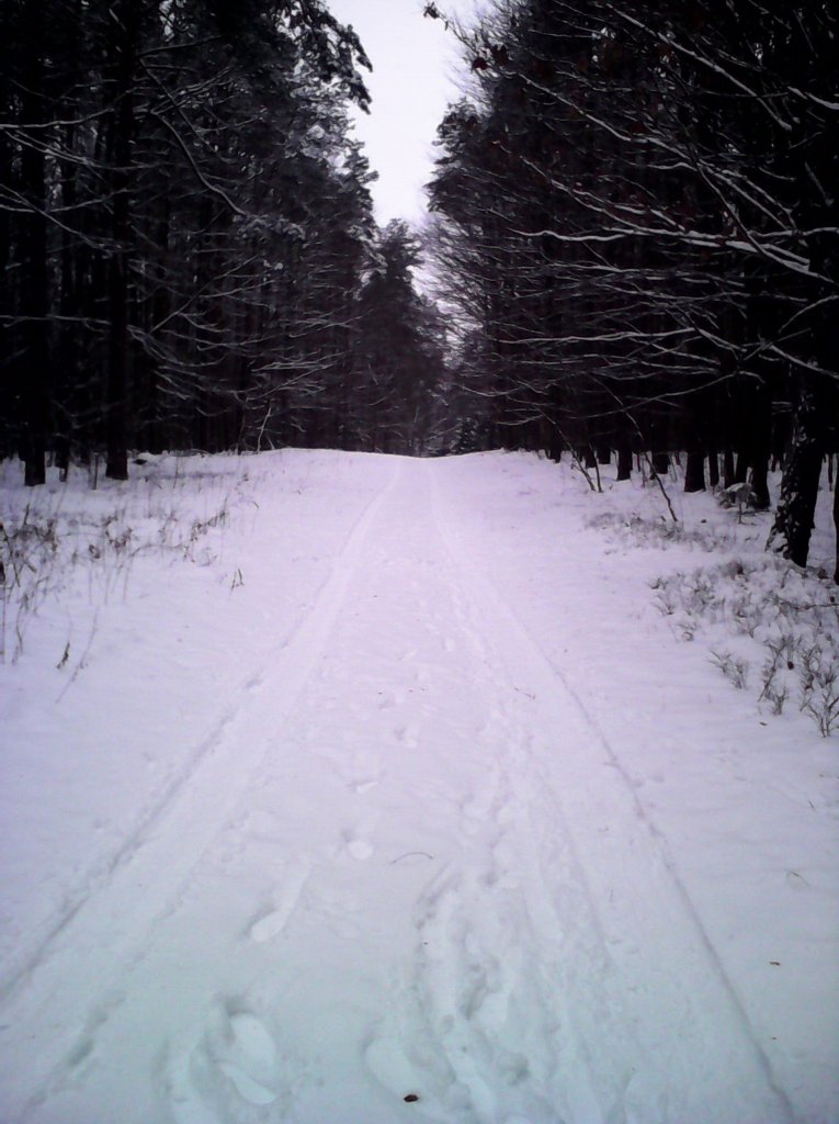 Winter