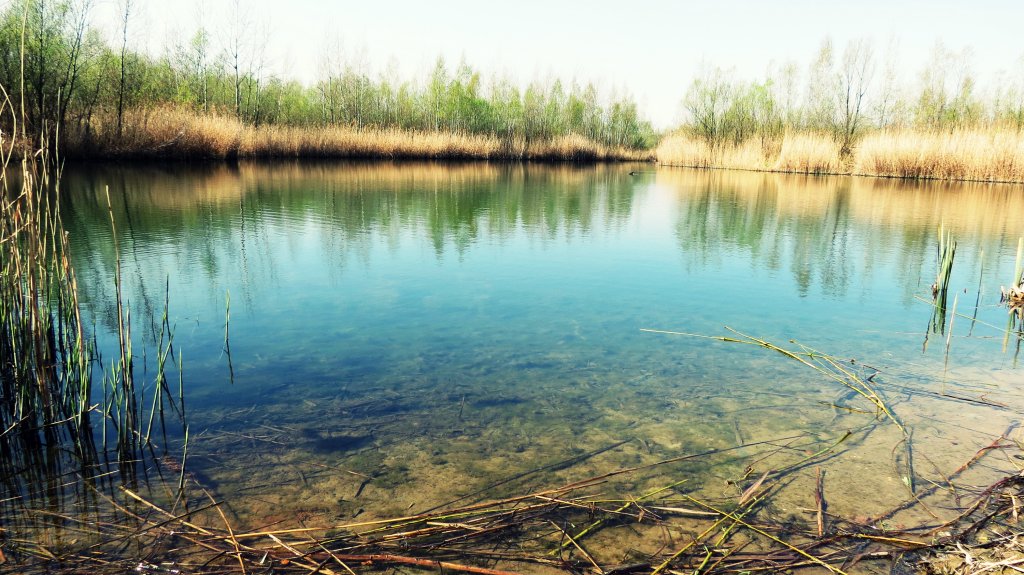 Water and peace.