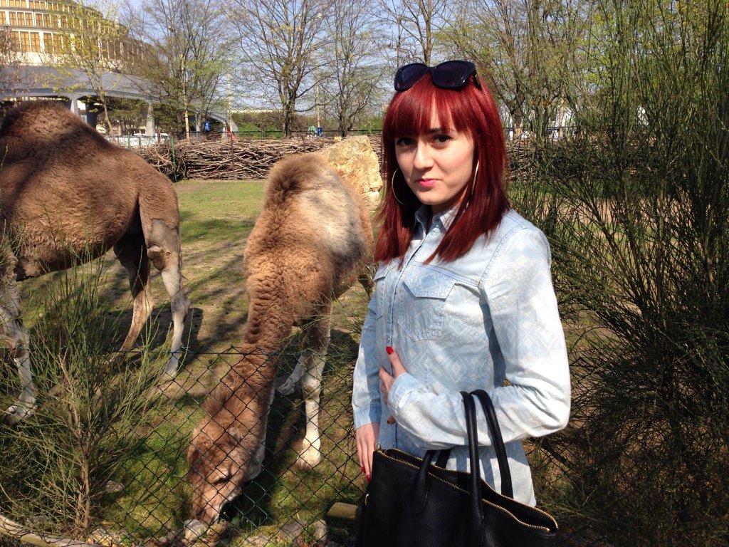 ZOO