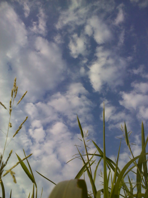 up in the air 