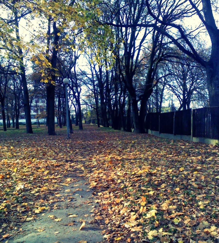 autumn 