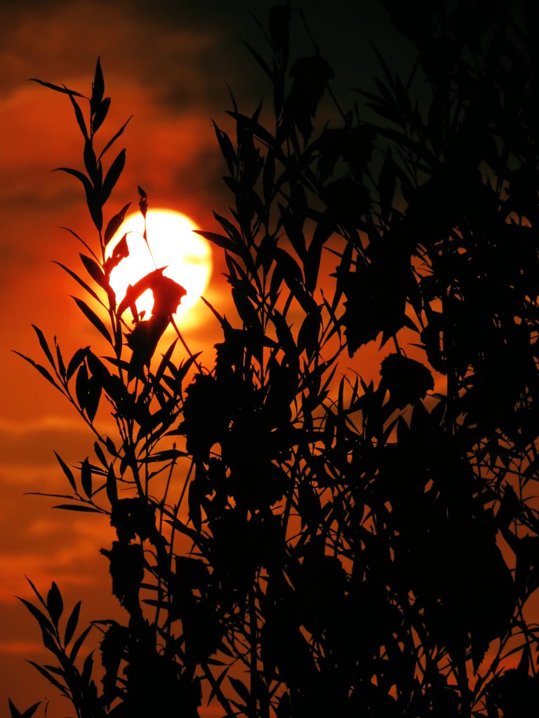 between light and shadow