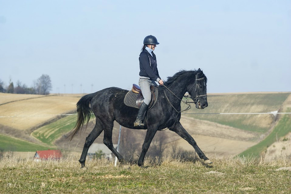 kochany konik:)