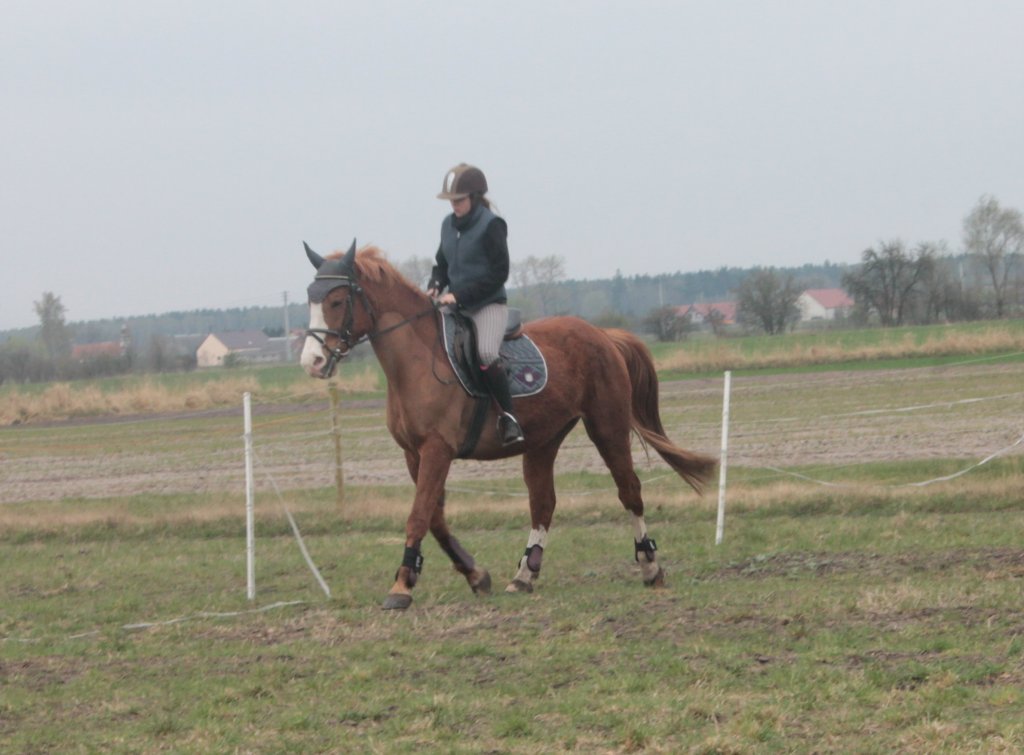 Jolek
