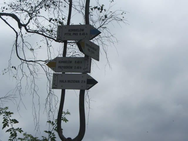 milion krokw std.