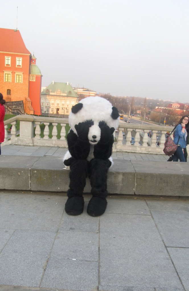 Awesome Panda 