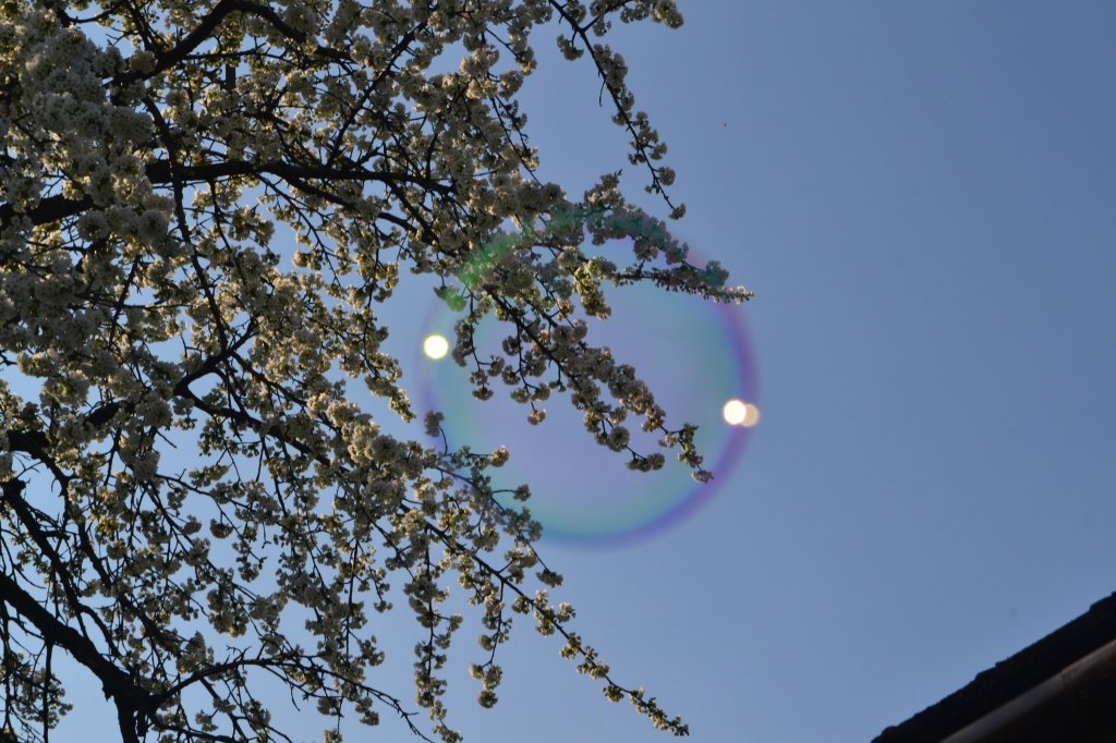 19.04.14