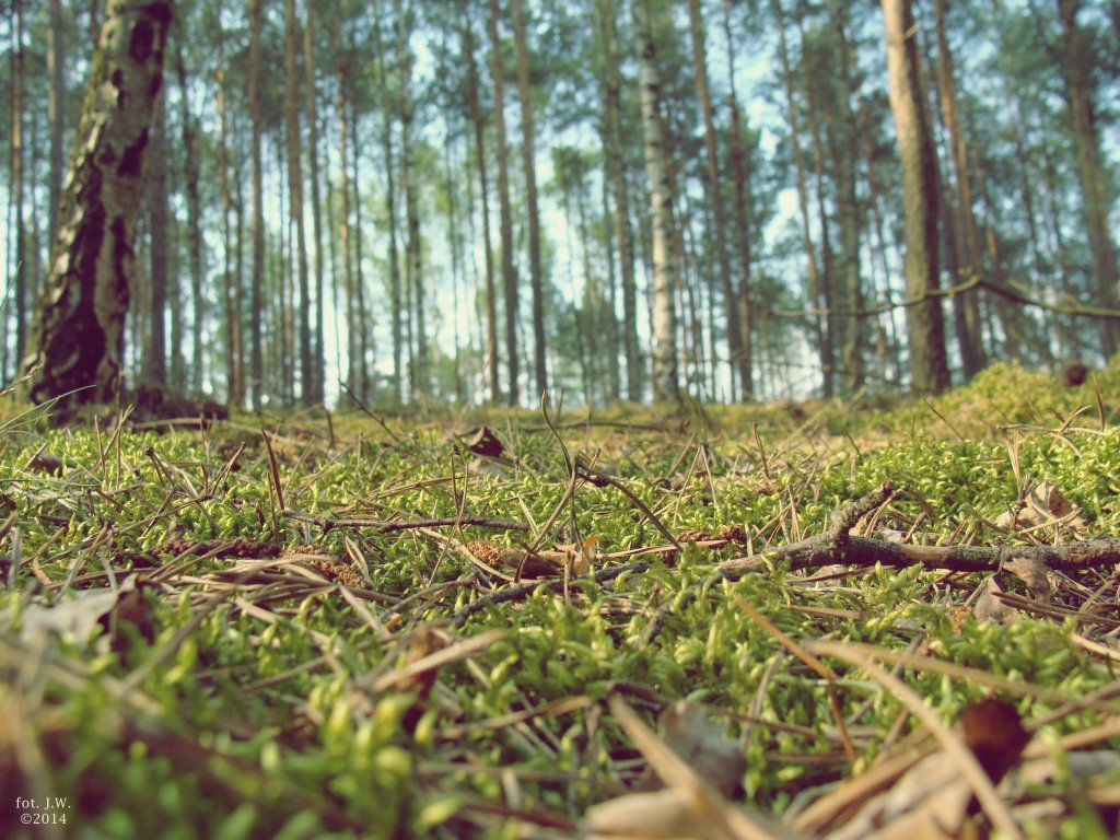 sobota, 19 kwietnia 2014