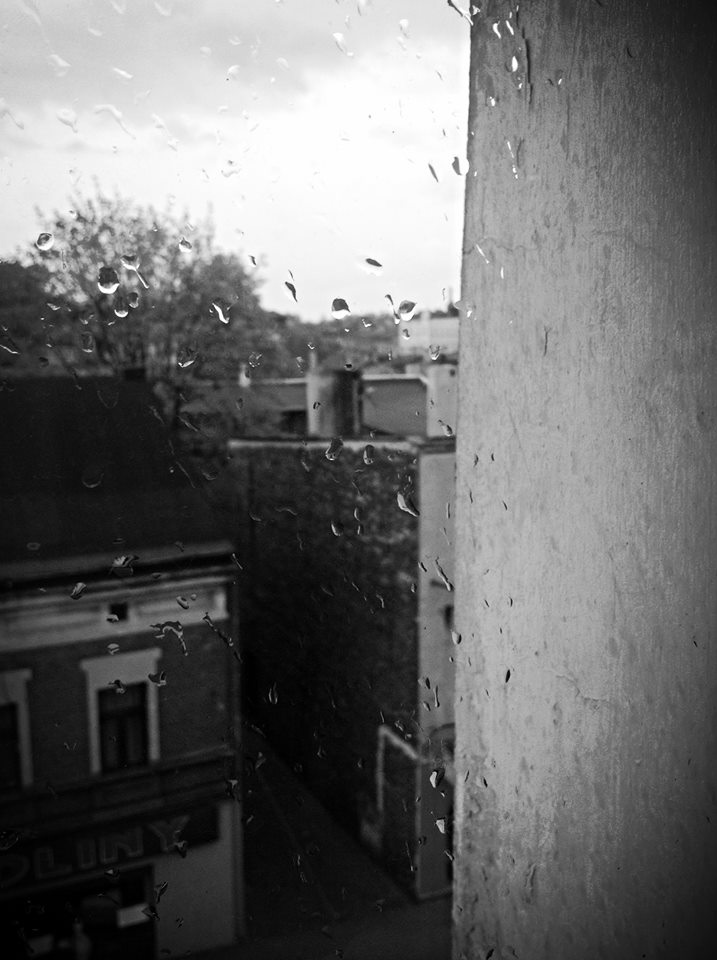 rain 