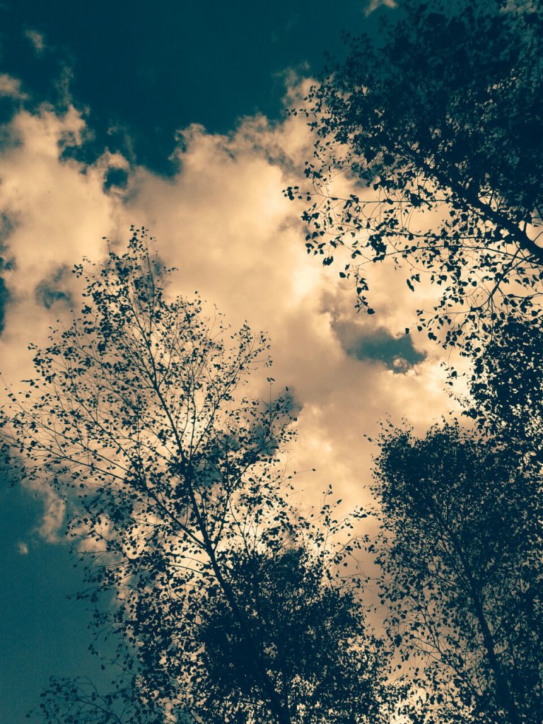 Brzuzki ;p 