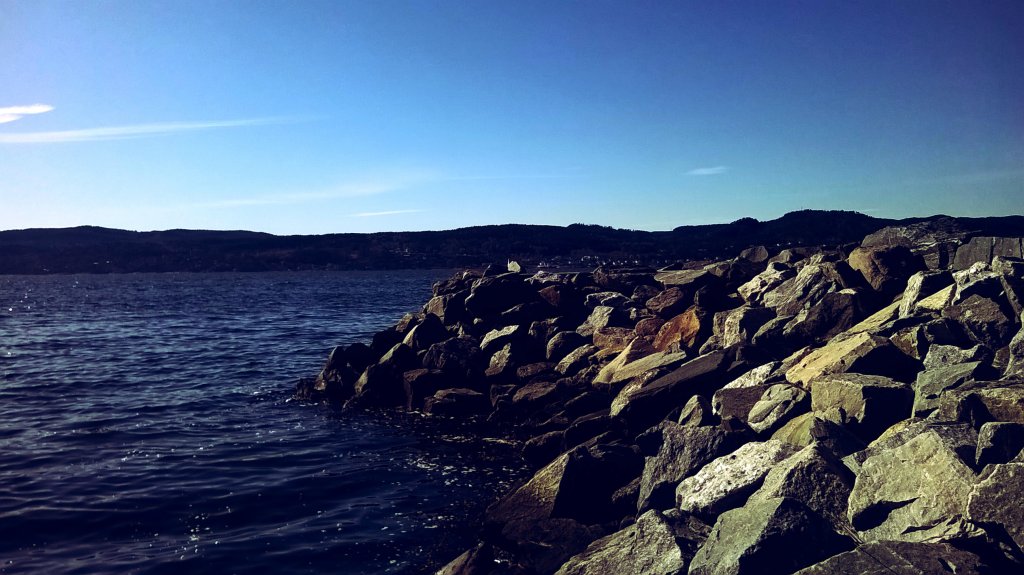 The sea 