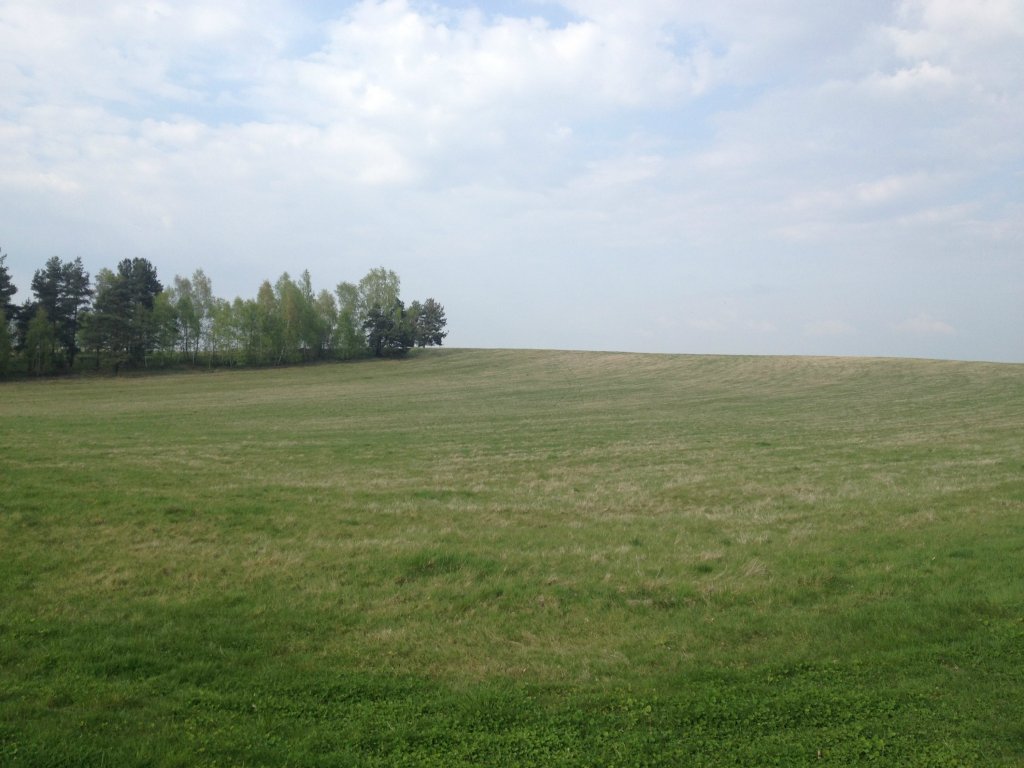 Sawnikowice 