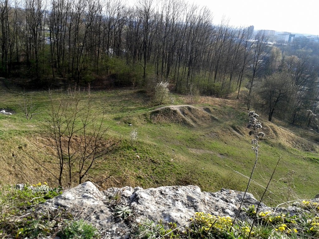 intuicja