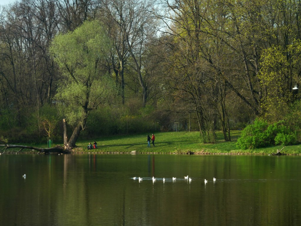 Skaryszewskiego c.d.