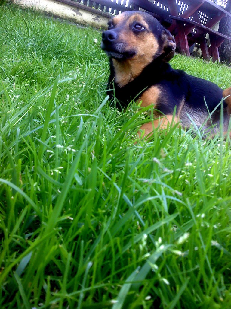 egzaminyyyyy.