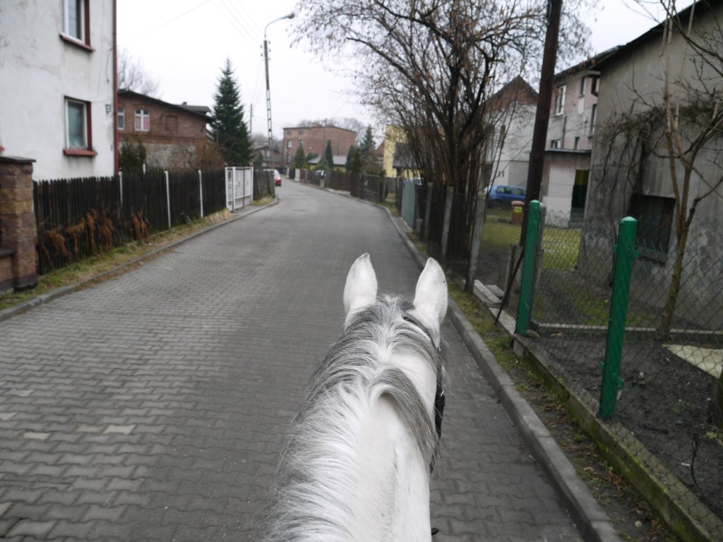 Na spacerze.