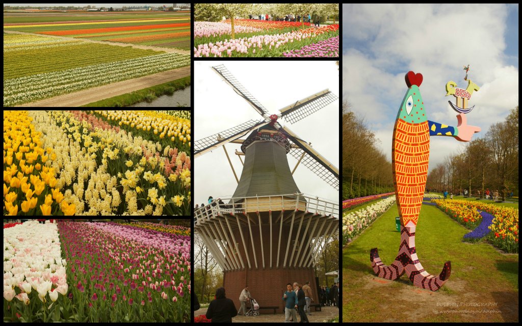 Keukenhof