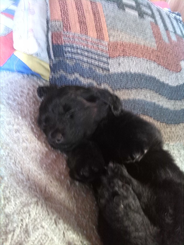 moje sodkie 
