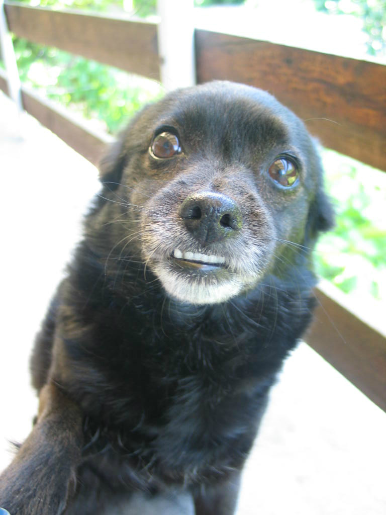 Azula 
